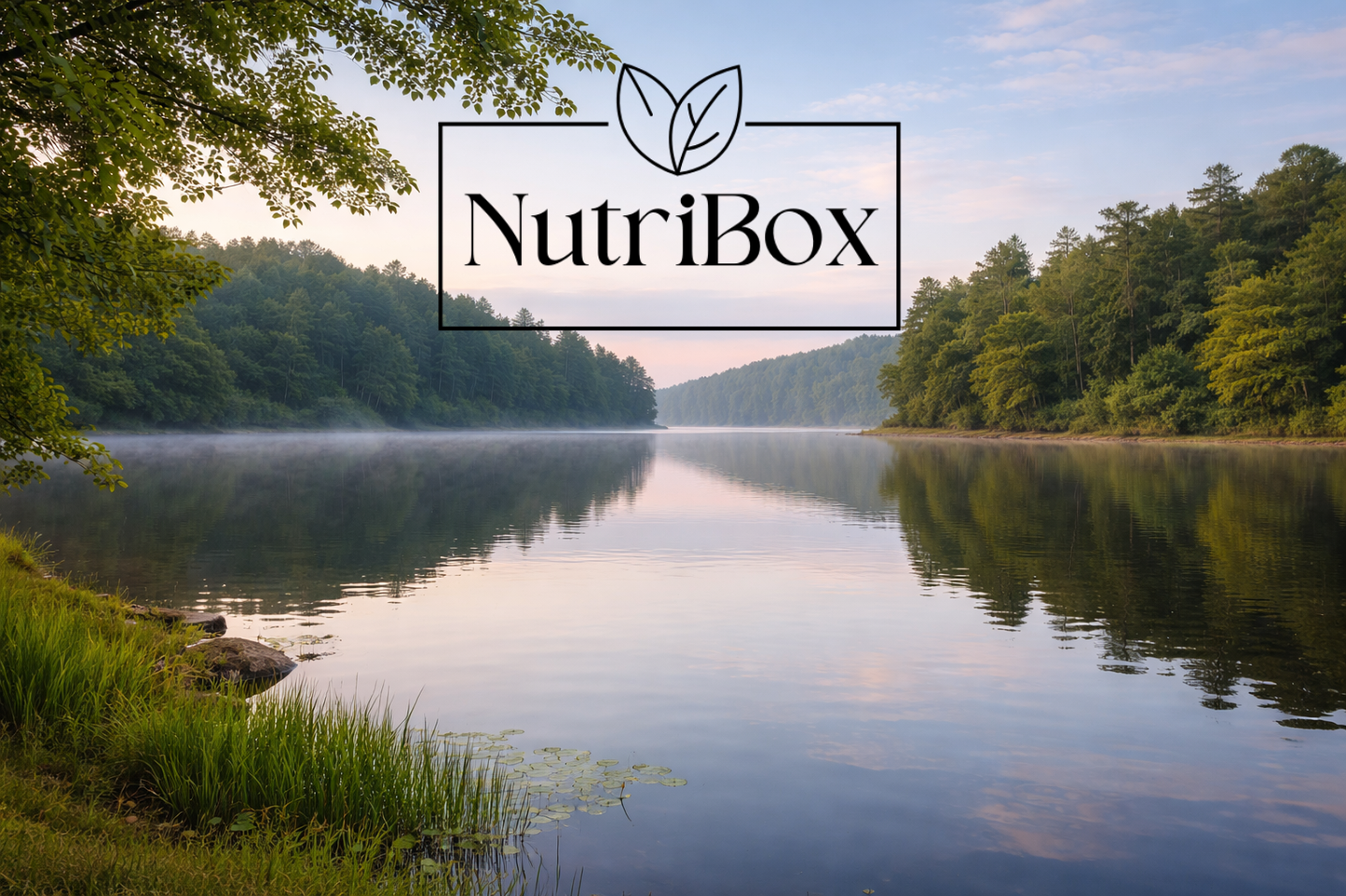 NutriBox Annual Membership | Angola